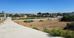 Promoción Parcelas – Quinta del Gallo – Conil de la Frontera – Cádiz