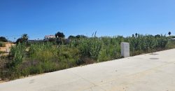 Promoción Parcelas – Quinta del Gallo – Conil de la Frontera – Cádiz