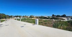 Promoción Parcelas – Quinta del Gallo – Conil de la Frontera – Cádiz